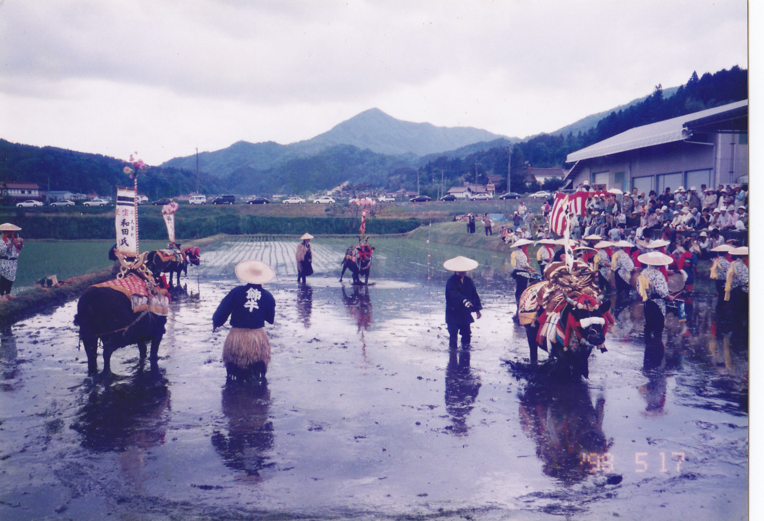Rice Planting Festival