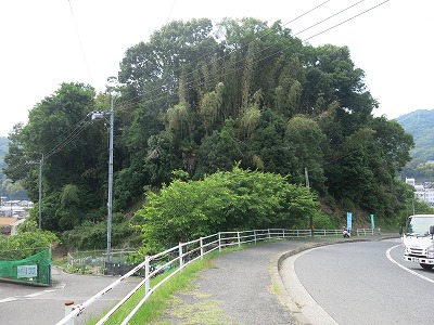 永町山城址（北側）