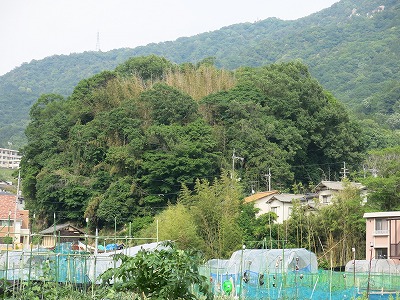 永町山城址（西側）