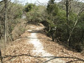 登山道