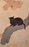 黒き猫