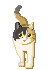 OєLAj